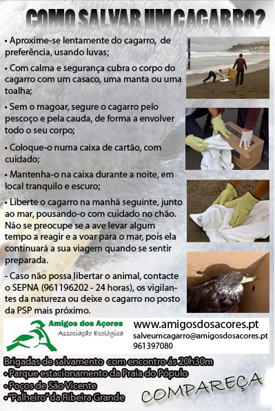 flyer_Cagarro_2010 flyer_Cagarro_2010