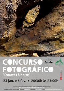 Concurso Fotografico